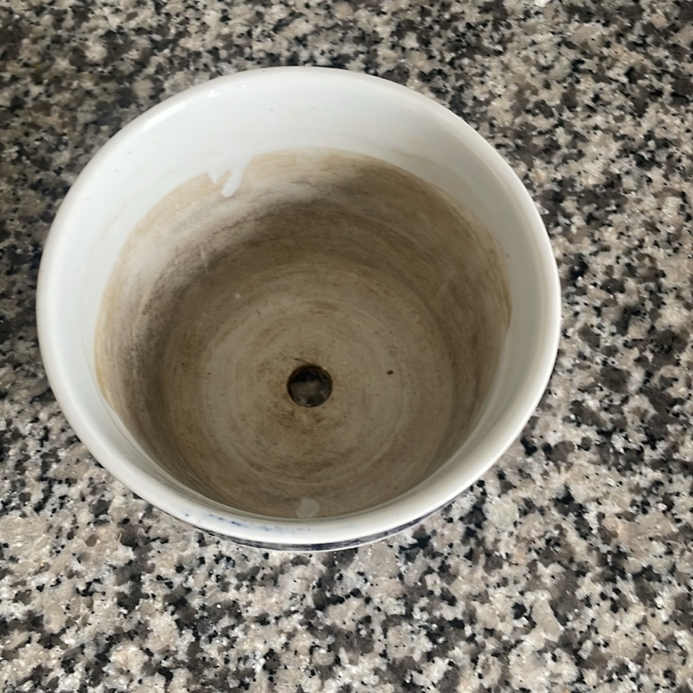 Blue Floral Ceramic Planter 😍 - Picture 8 of 9